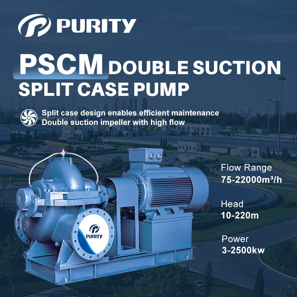 PSCM(3)