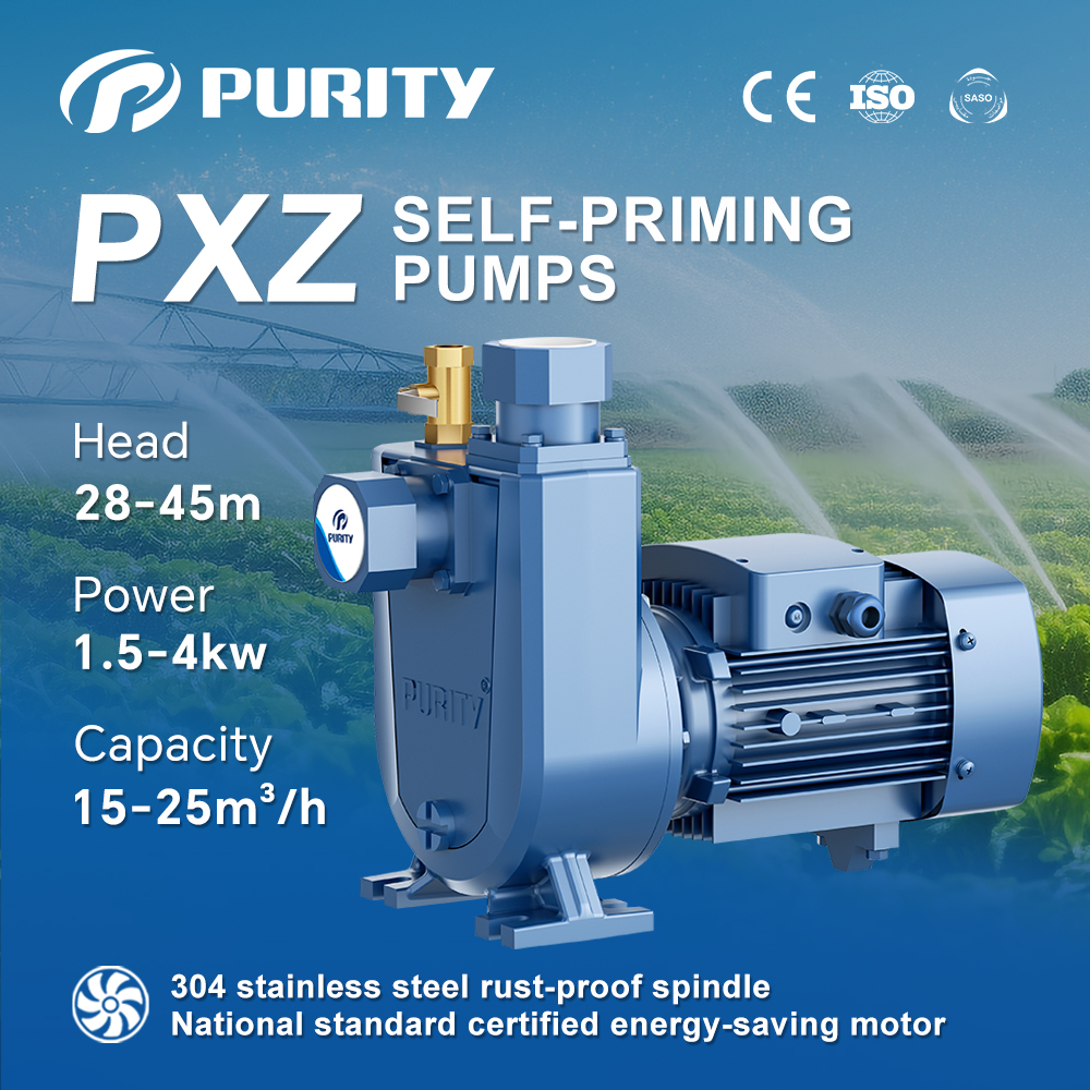 PXZ海报