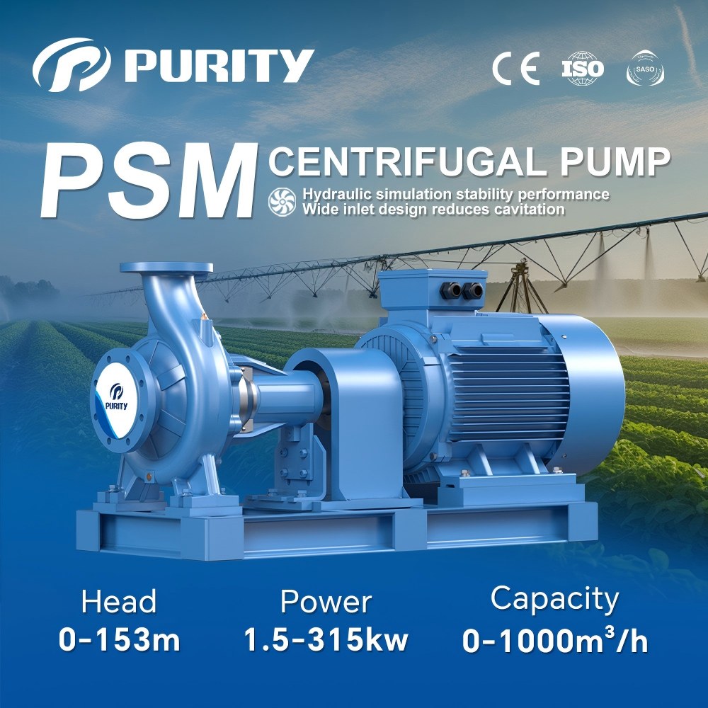 Purity End Suction Centrifugal Pump PSM
