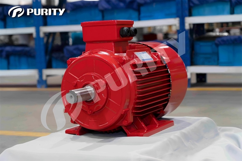 Purity YE3 Electric Motor